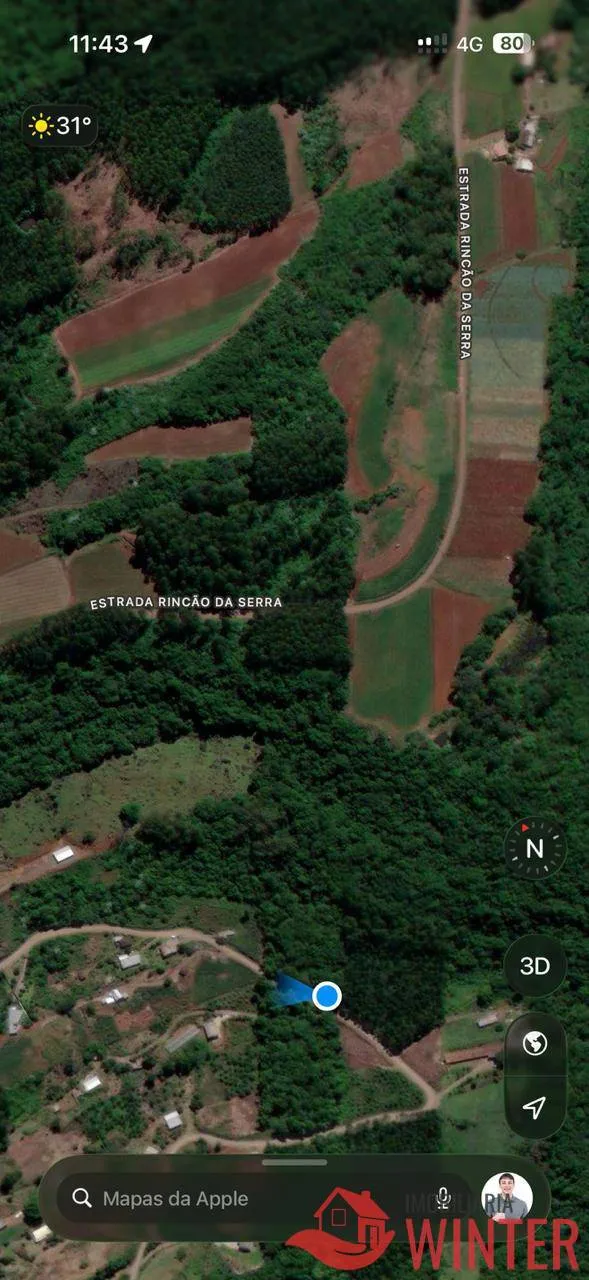 Imagem 5 hectares no São Roque, Feliz
