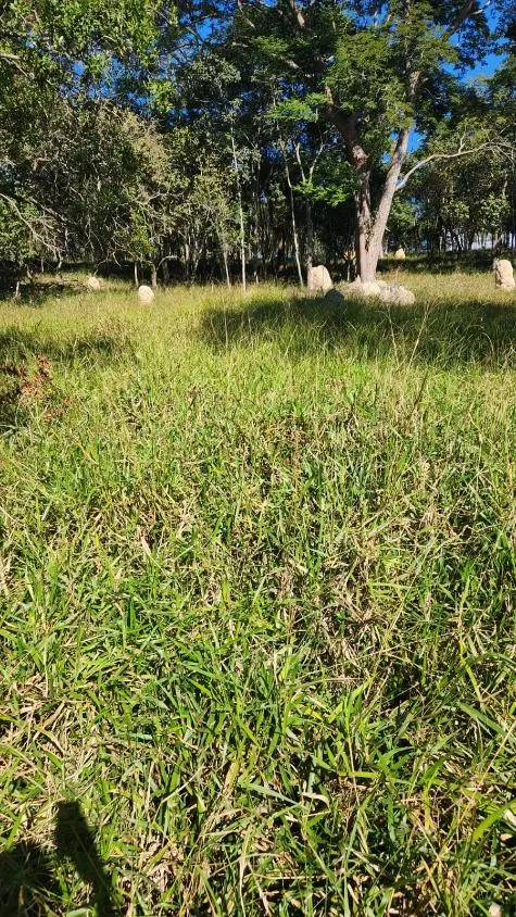 Imagem Vende-se excelente terreno em Bonfim/MG com Área total de 23 hectares, toda formada