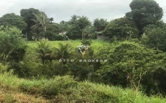Imagem AREA RESIDENCIAL em SANTA CRUZ CABRÁLIA - BA, TÂNIA