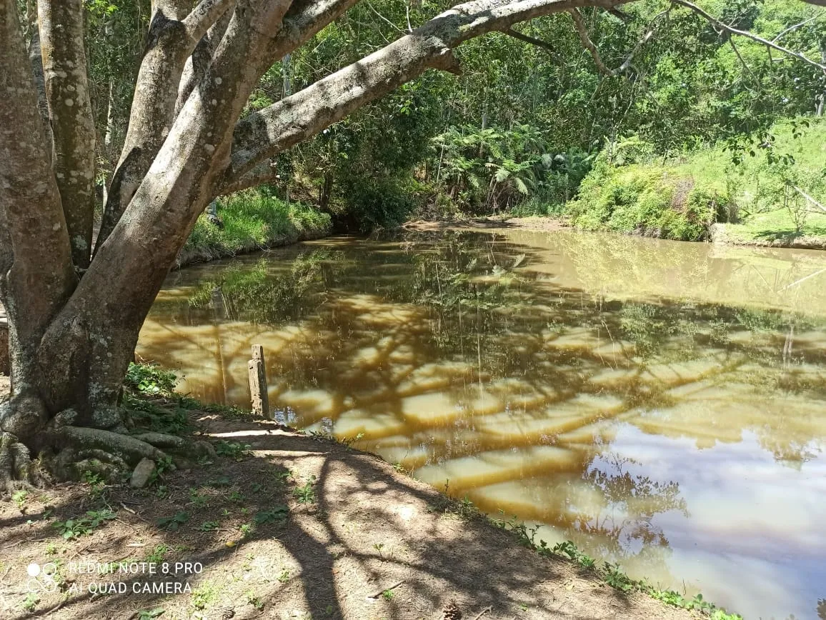 Imagem Chácara à venda 2 Quartos, 314600M², Pouso Frio, Pindamonhangaba - SP