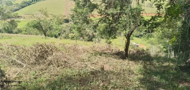 Imagem CHACARA RURAL em BANDEIRA DO SUL - MG, ROSEIRA