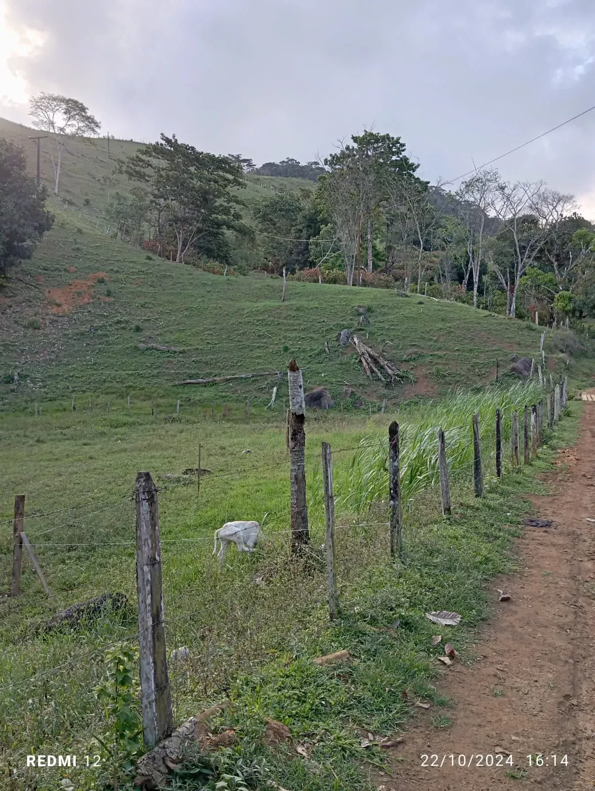 Imagem Fazenda à Venda, 300.000 m² em Ibirataia - Ibirataia