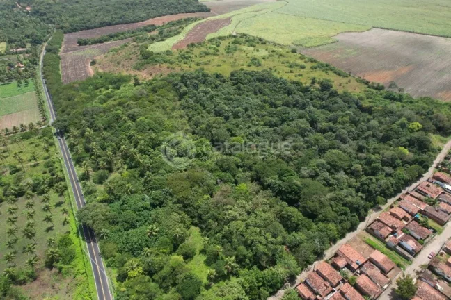 Imagem Área à Venda - Nísia Floresta / RN - 12,1 Ha