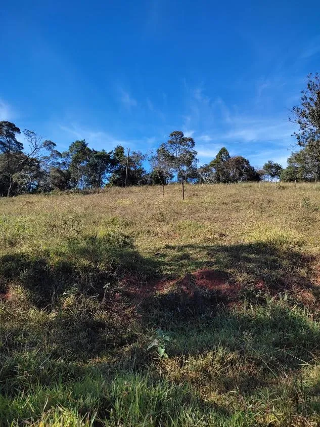 Imagem FAZENDINHA À VENDA - RIO MANSO (MG) 43 hectares de terra