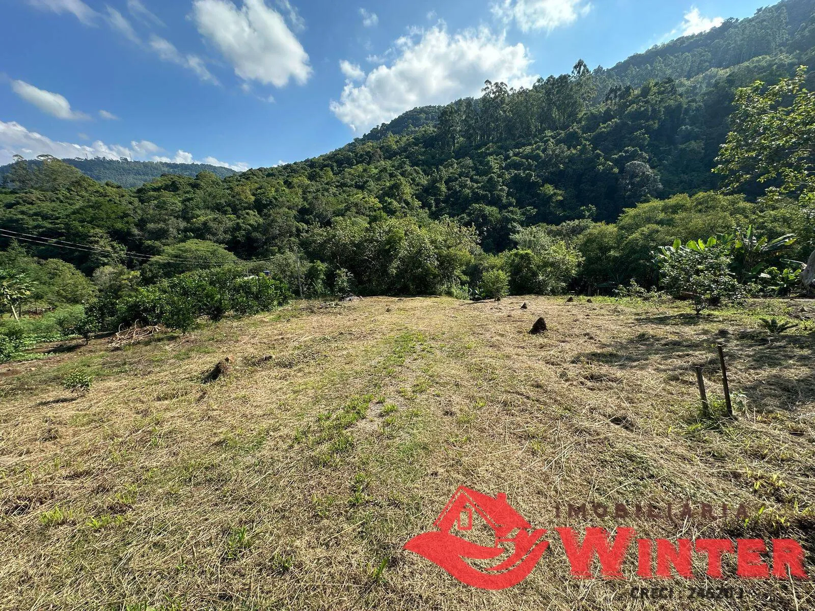 Imagem Chácara com 1.779m2 em São Vendelino a venda.