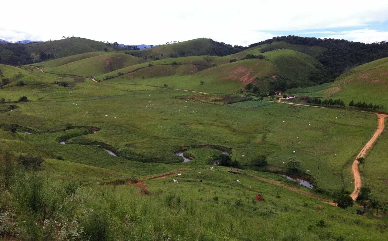 Imagem FAZENDA COMPLETA E ESTRUTURADA PARA PECUÁRIA - 105,5 ALQUEIRES