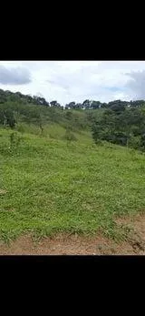 Imagem Terreno à Venda em Piedade dos Gerais / MG 15 hectares de área total