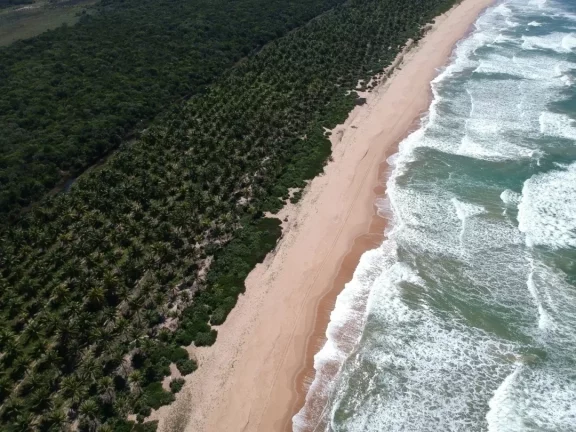 Imagem Paraíso frente mar