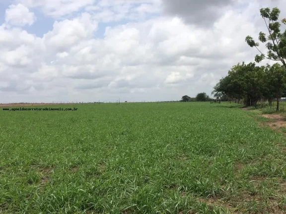 Imagem Granja para Venda em São Gonçalo do Amarante, Jardins, 3 dormitórios, 2 suítes, 4 banheiros, 6 vagas