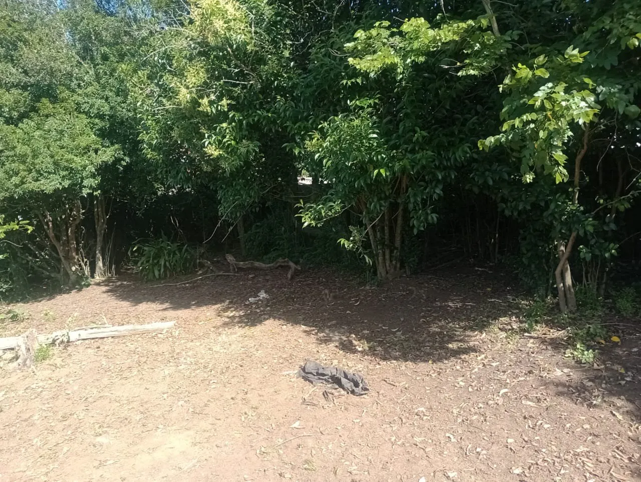 Imagem Terreno à Venda em São Lucas, Viamão