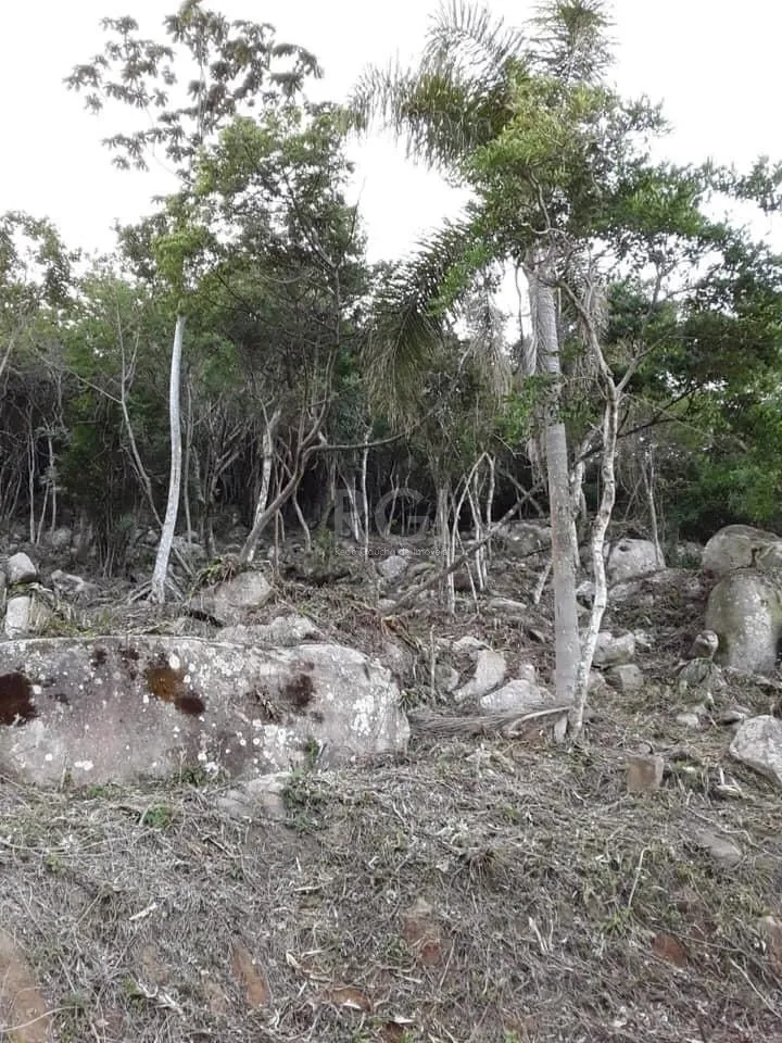 Imagem Terreno para Venda - 0m², 0 dormitórios, Gamboa, Garopaba