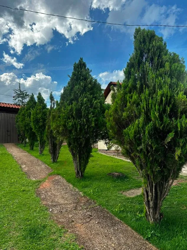 Imagem CHÁCARA À VENDA EM IGARAPÉ /com 3.000 m² de área,