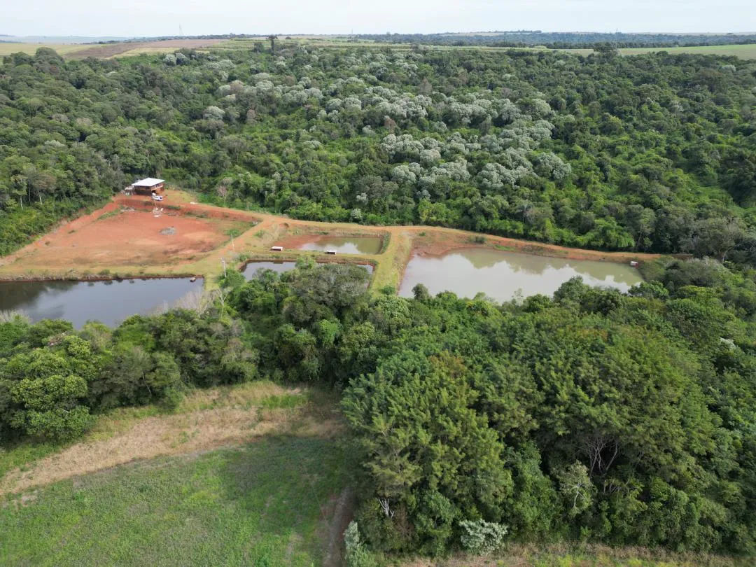 Imagem Chácara à venda em Cascavel, Centro - Casa de caseiro, Rio e Lago para pesca