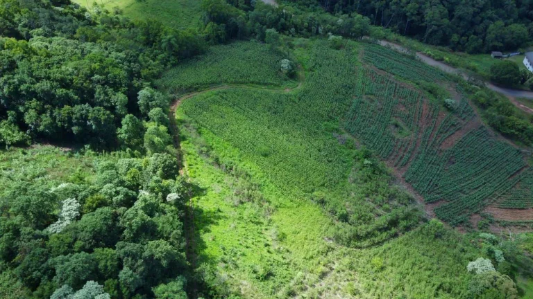 Imagem Terreno para Venda em Concórdia, Primavera