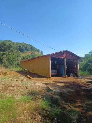 Imagem Área Agrícola para Venda em Concórdia, Interior