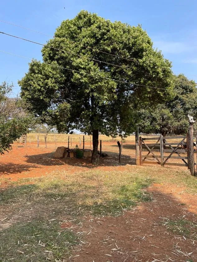 Imagem Excelente Terreno à Venda em Jaboticatubas/MG: 17 Hectares Próximo à Serra do Cipó