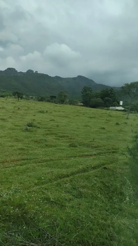 Imagem Chácara à Venda Vivendas Santa Mônica II Igarapé/MG Área total: 1.000 m²