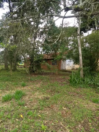 Imagem Sítio para Venda em Suzano, Ipelândia