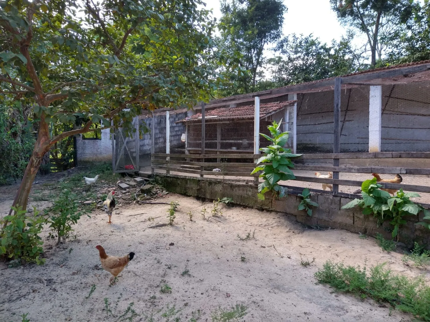 Imagem Chácara à venda 2 Quartos, 6 Vagas, 65000M², Sete Voltas, Taubaté - SP