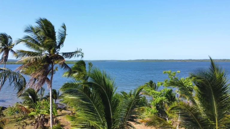 Imagem Barra de Sirinhaem