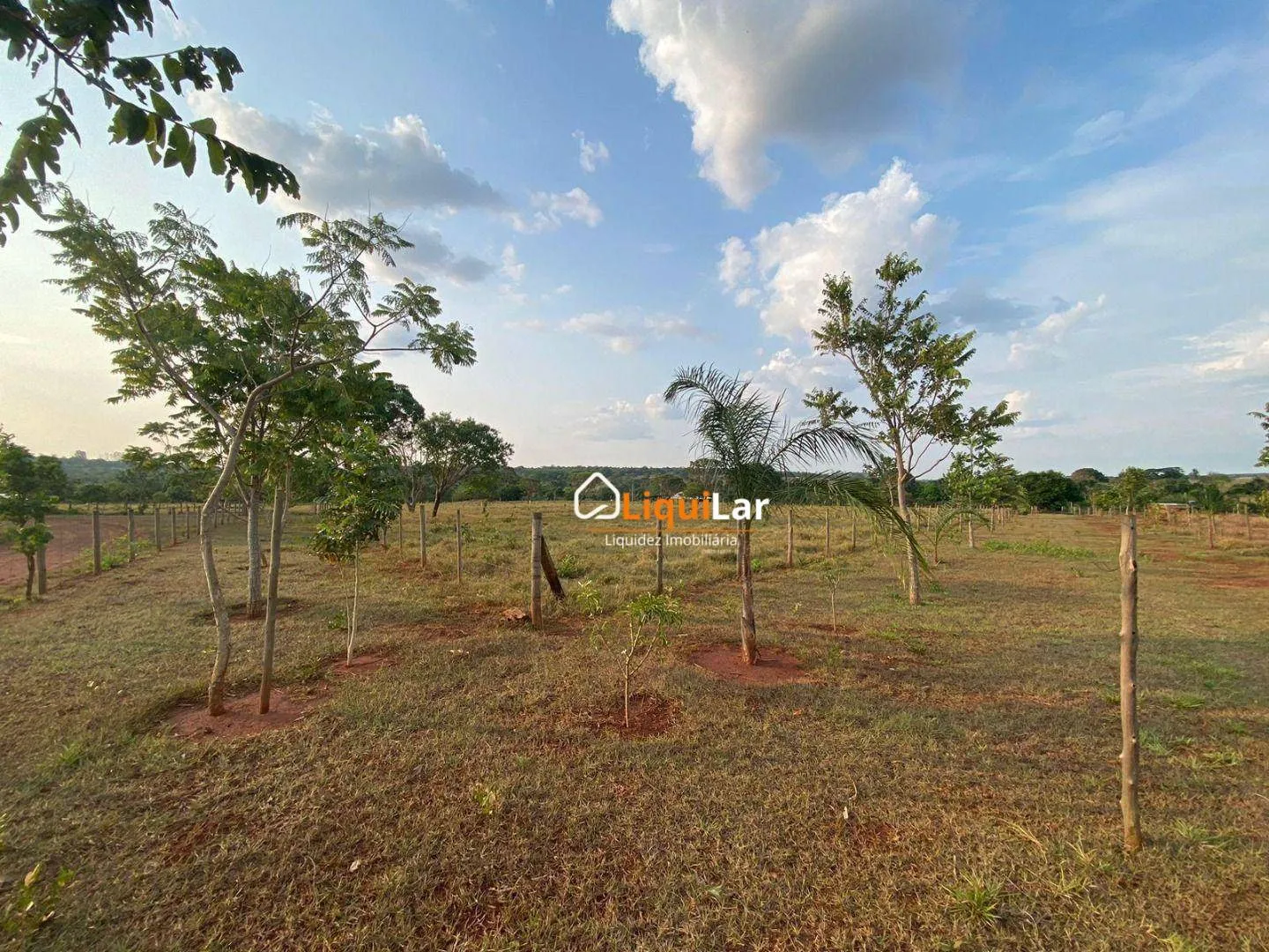 Imagem Chácara com 2 Hectares, Córrego e Dois Tanques de Peixe em Campo Grande/MS