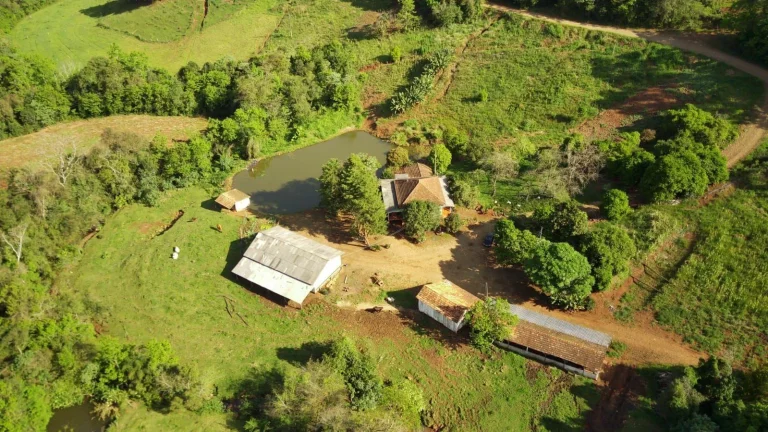 Imagem Granja para Venda em Arabuta, Rural
