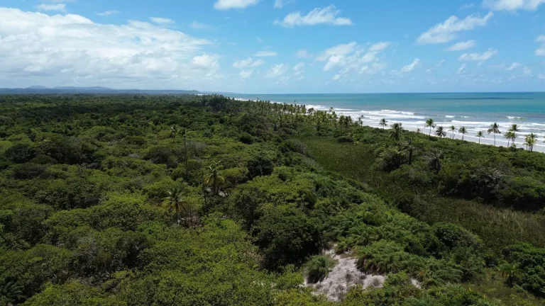 Imagem FAZENDA BEIRA MAR E MATA ATLANTICA