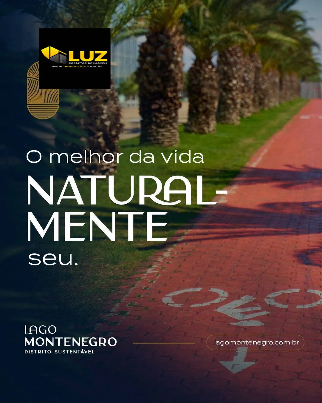 Imagem SUPER LANÇAMENTO - IPÊ BRANCO E IPÊ AMARELO - LAGO MONTENEGRO