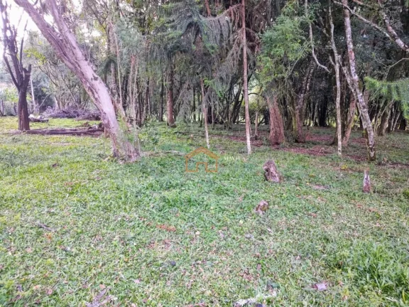 Imagem CHACARA RURAL em CAMPO BELO DO SUL - SC, Interior