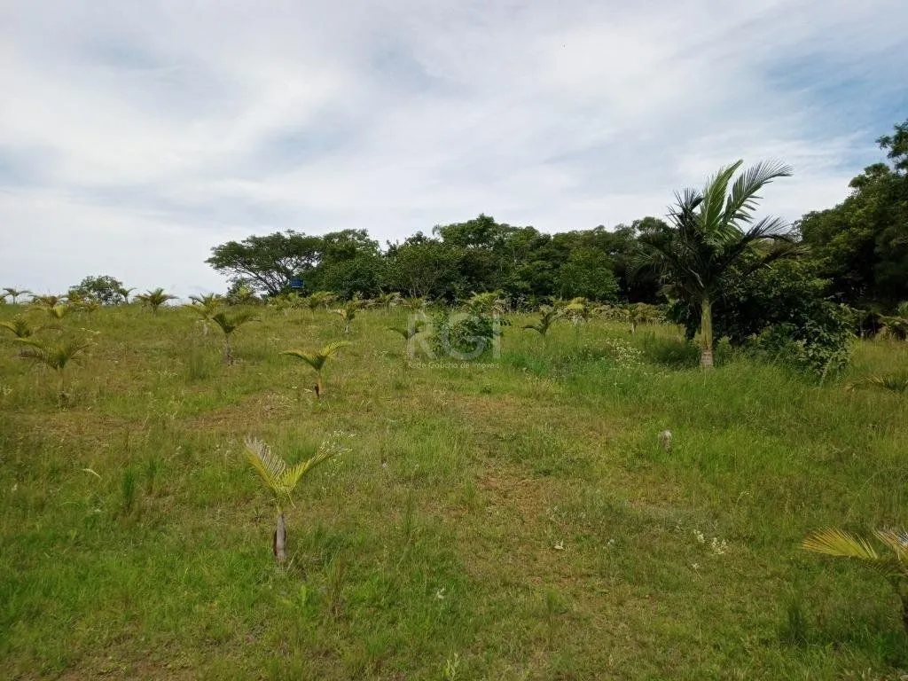 Imagem Boletto Imóveis vende Sitio na RS, Com 7 casas, 2 comerciais, excelente local para vários seguimento fácil acesso , rota para gramado, R$3.900,000,00