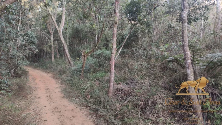 Imagem Terreno a venda nas montanhas de Campos do Jordão-SP