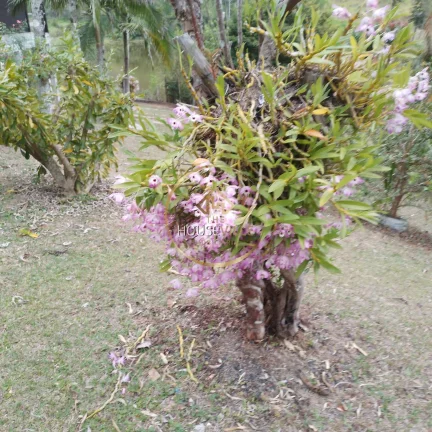 Imagem Fazenda com 60 alqueires SJC Ideal para Hotel Fazenda
