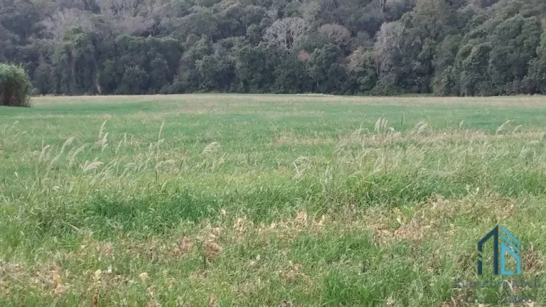 Imagem Sitio a venda, 375,100 mil m² (15.5 alqueires), aproximado 7 alqueires de plantio restante reserva e pasto, em Condói PR