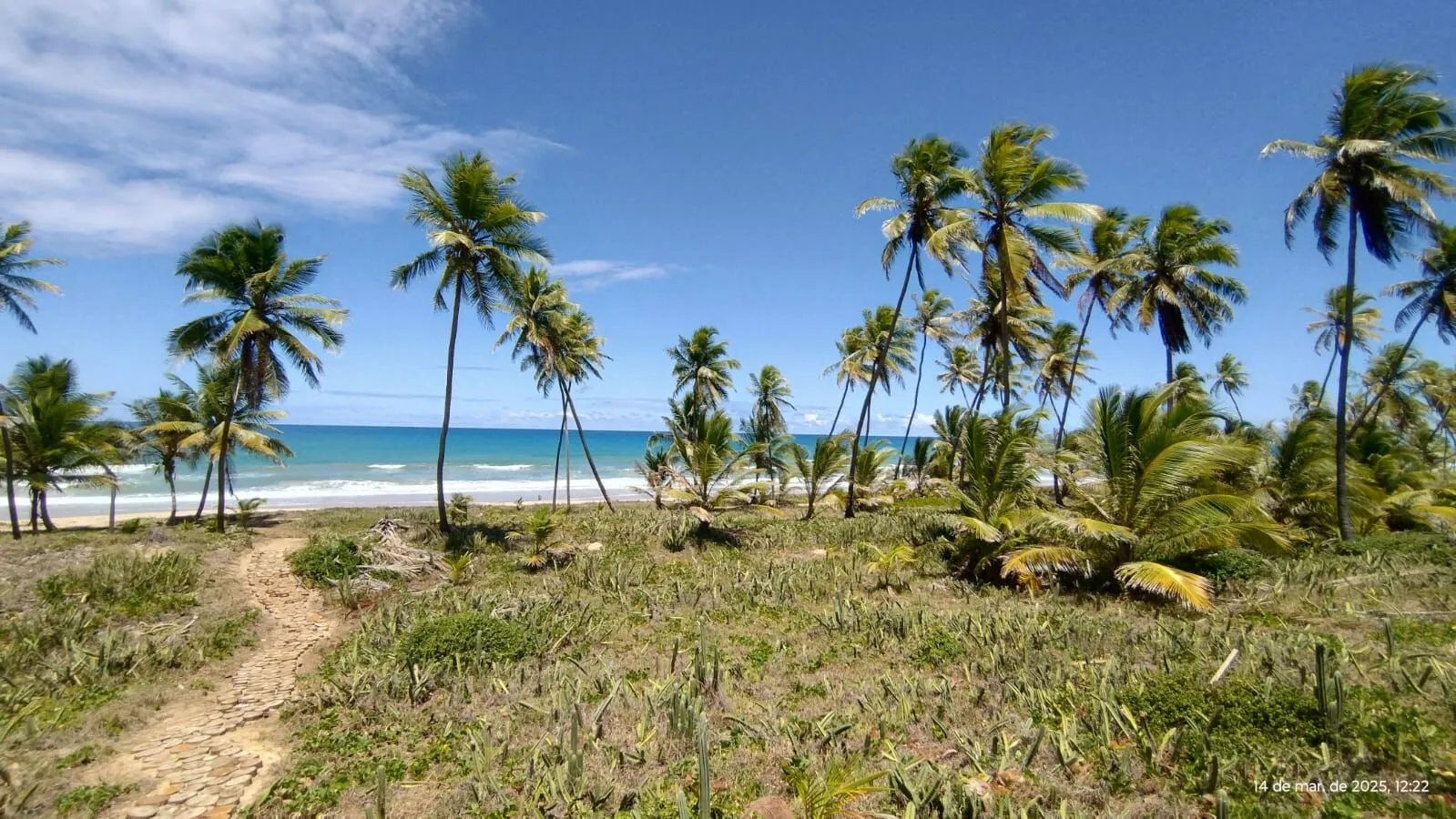 Imagem A sua vida nunca mais será a mesma ao adquirir um lote no Riviera em Praia do Forte, Mata de São João - Bahia