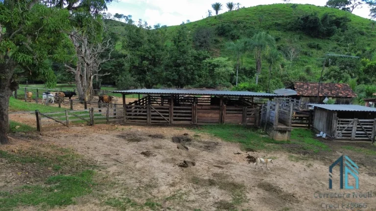 Imagem Fazenda a venda 82 alqueires em Campinacu -Goiania - GO