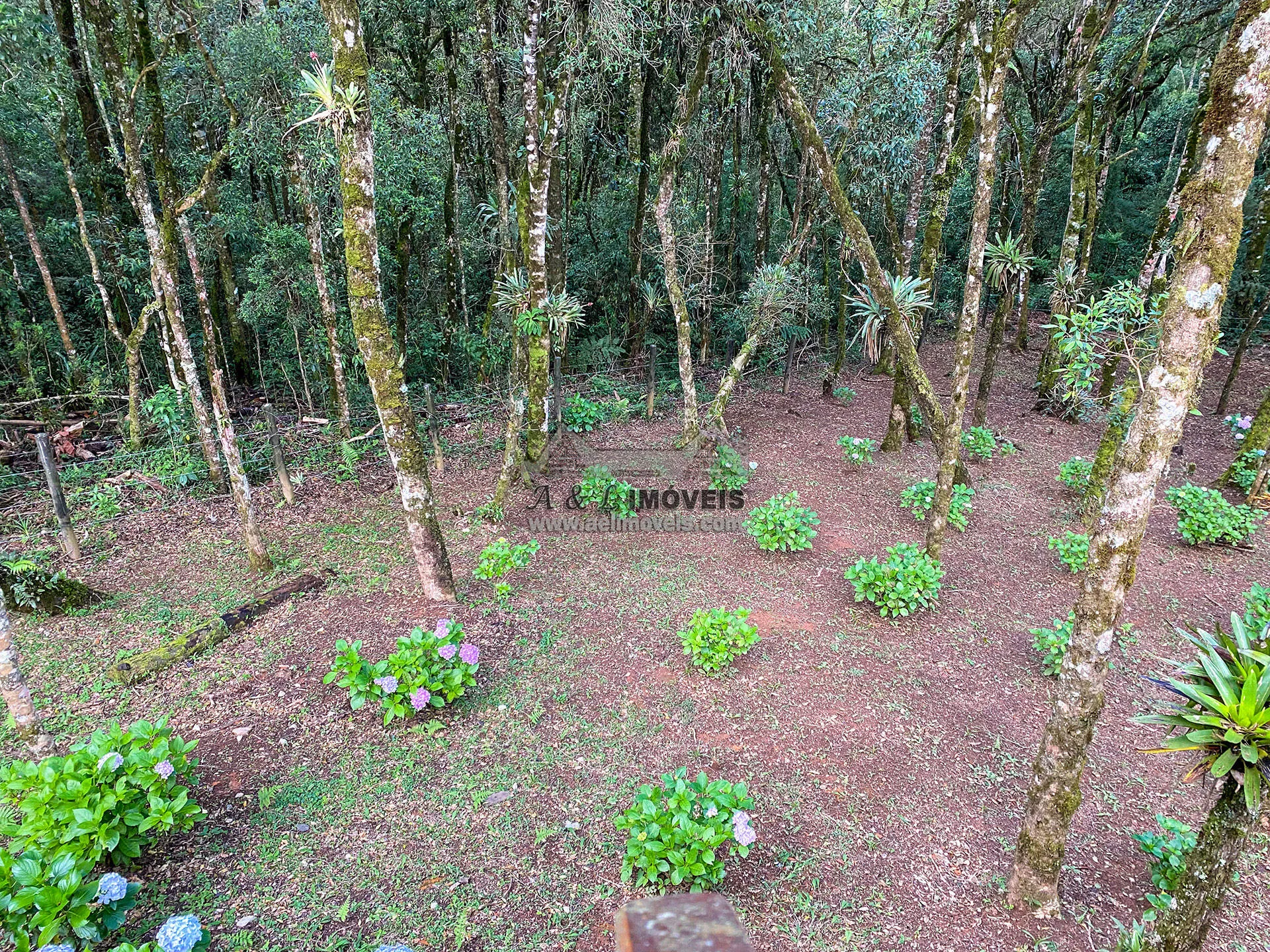 Imagem Casa à venda em Campos do Jordão - Belo imóvel com 3 dormitórios