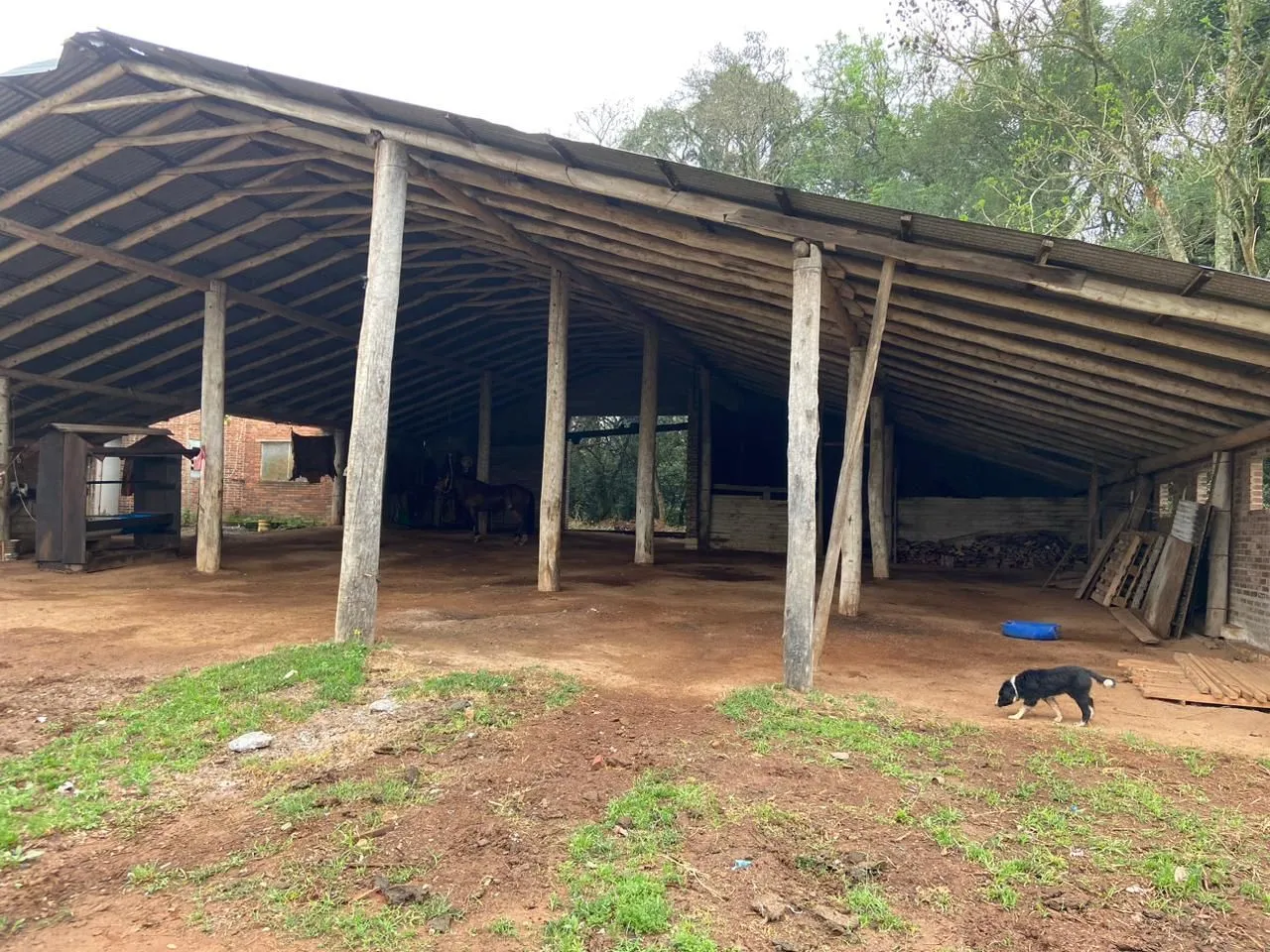Imagem Fazenda à venda no Vale Verde - RS - 433 hectares. Ideal para Arroz e Soja.