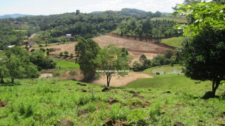 Imagem Área para Loteamento para Venda em Concórdia, São Cristóvão