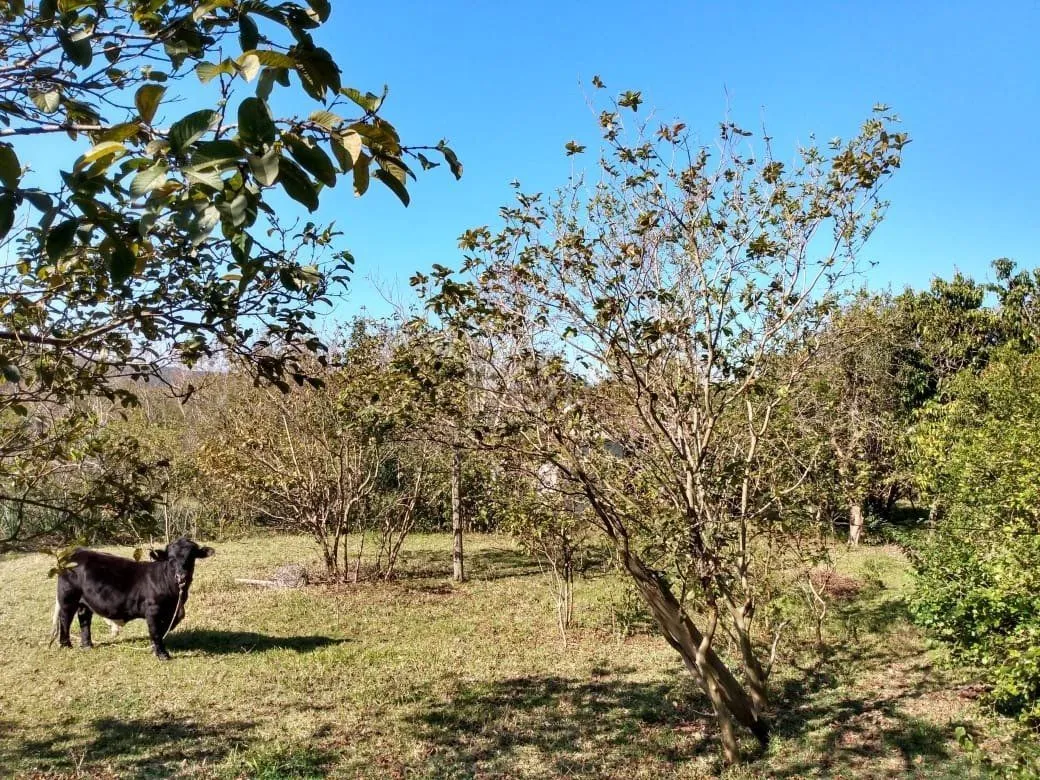Imagem Terreno para Venda - 0m², 0 dormitórios, Belém Novo, Porto Alegre