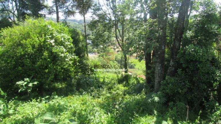 Imagem Área para Loteamento para Venda em Concórdia, São Cristóvão