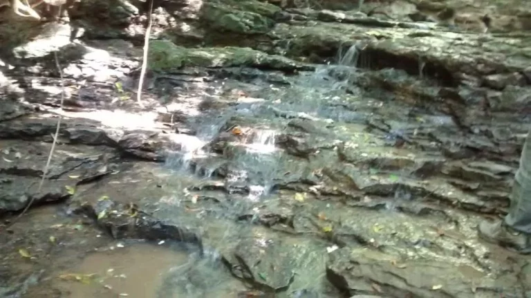 Imagem Propriedade Rural de 10 Mil Metros em Morro do Alto, Itapetininga - SP