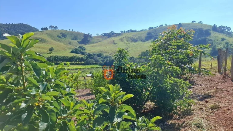 Imagem Chácara com 2 dormitórios à venda, 5938 m² por R$ 550.000 - Cambuí - Cambuí/MG