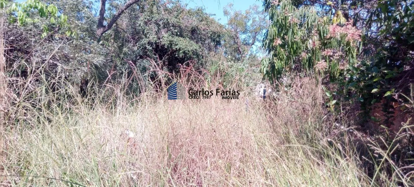 Imagem Lote em Condomínio Fechado para Venda em Brasília, Setor Habitacional Tororó (Jardim Botânico)