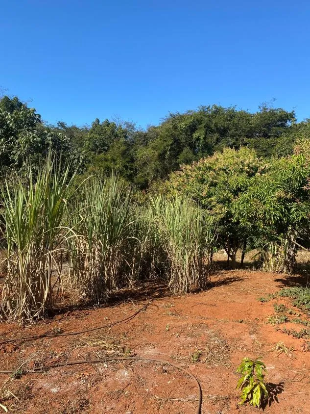 Imagem Oportunidade em Lagoa Santa/MG: Terreno a venda de 13,1 Hectares