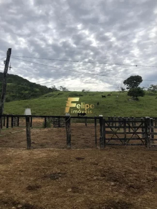 Imagem BELÍSSIMA FAZENDA DE 58 ALQUEIRES, À VENDA EM NOVA MÓDICA/MG, ACEITA PERMUTA!