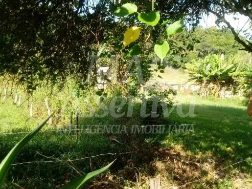 Imagem Linda Chácara para Venda em Taquara Bairro Pega Fogo
