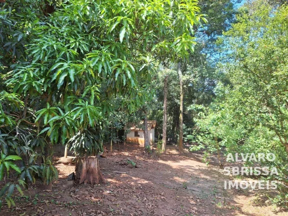 Imagem Oportunidade - Chácara à venda - Condominio Chácaras Flórida - Itu/SP