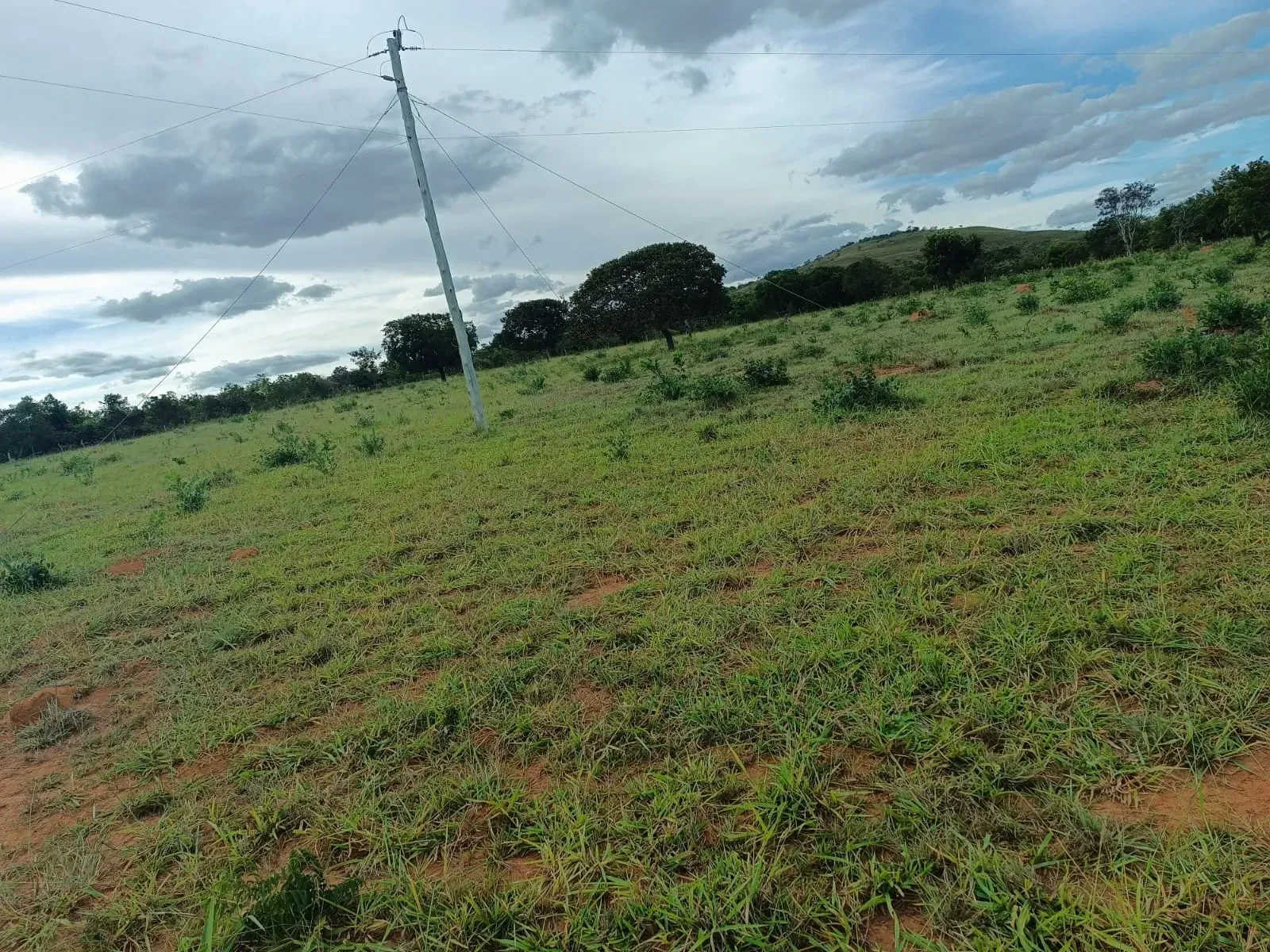 Imagem Fazenda à Venda, 247 HA em Samambaia Sul - Brasília