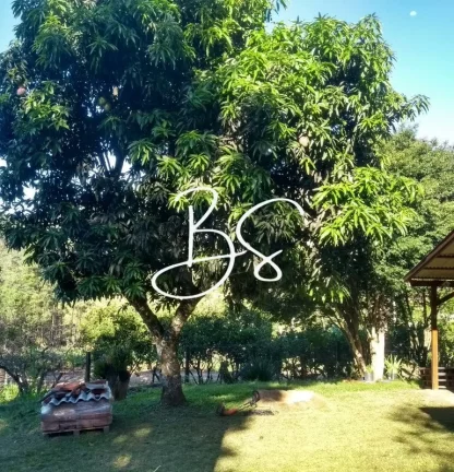 Imagem SITIO RURAL em IGREJINHA - RS, Estrada Geral