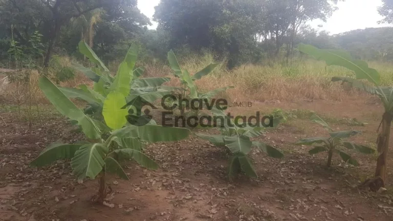 Imagem Casas / Chácara na cidade de Buritama